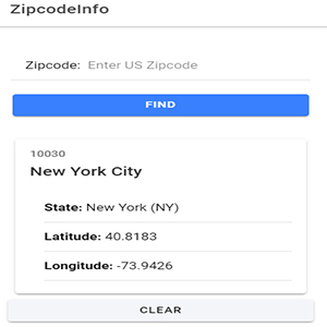 vue zipcode app image